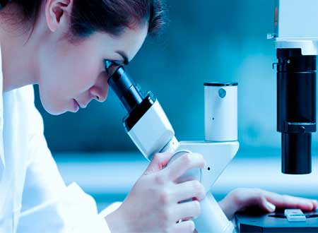 Dra. Guillermina Erendira Pedroza Herrera