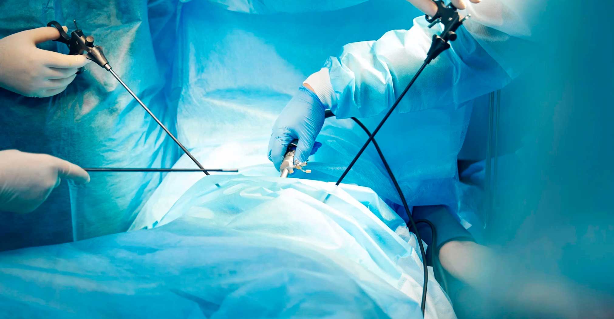 Dra. Teresa Adriana López Mortera