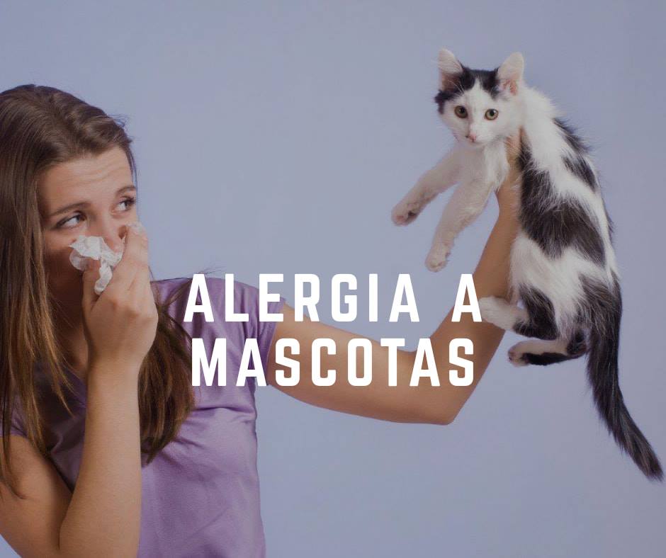 Aristóteles Álvarez Cardona